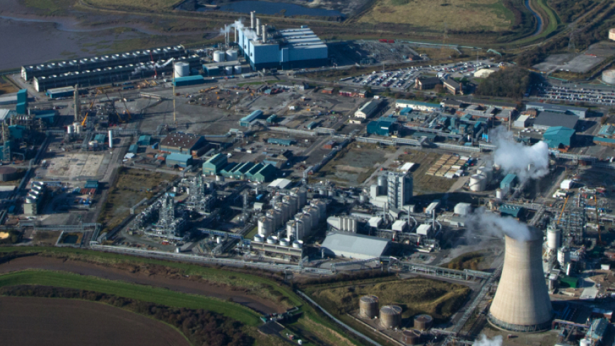 Aerial view of plant