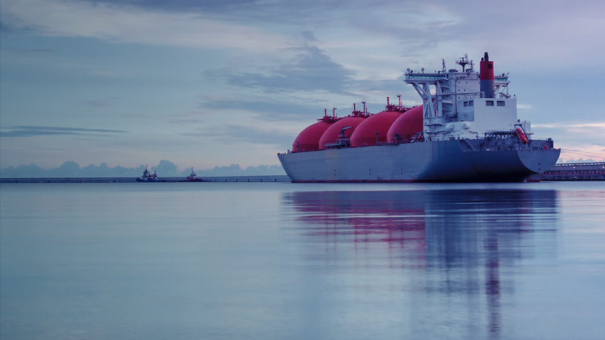 Vitol launches Green LNG offering