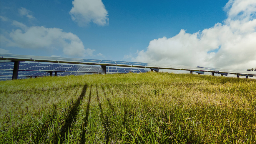 Solar farm with blue skies and green grass